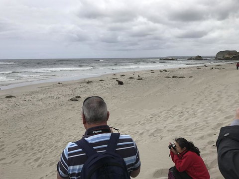 Kangaroo Island In A Day Tour From Adelaide - Accommodation Nelson Bay 10