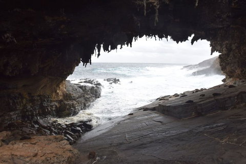 Kangaroo Island In A Day Tour From Adelaide - Accommodation Nelson Bay 18