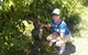 Barossa Valley Wineries Tour With Tastings And Lunch From Adelaide - thumb 11