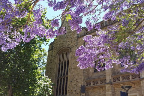 Cultural Caper Adelaide Walking Tour - Accommodation Nelson Bay 7