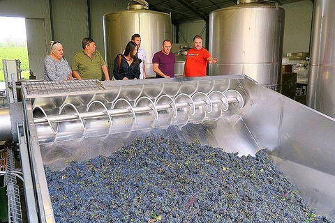Micro-Group Barossa Valley Wine Tour From Adelaide - Accommodation Nelson Bay 4