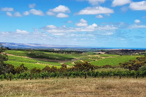 Micro-Group McLaren Vale Wine Tour From Adelaide - Accommodation Nelson Bay 4