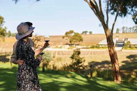 Micro-Group McLaren Vale Wine Tour From Adelaide - Accommodation Nelson Bay 7