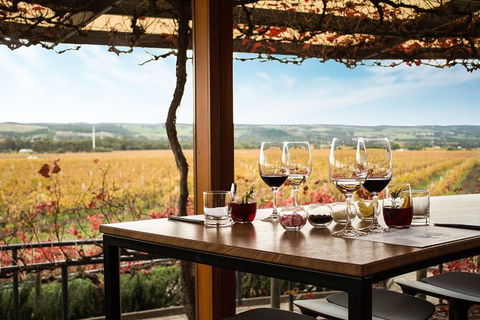 Micro-Group McLaren Vale Wine Tour From Adelaide - Accommodation Nelson Bay 2