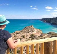 3 Day Whale Watching Tour from Adelaide - Accommodation Nelson Bay