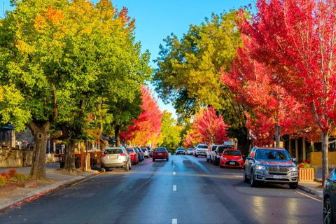 Adelaide City Highlights With Hahndorf And Mt. Lofty - Accommodation Nelson Bay 7
