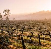 Barossa Valley Private Tour It's your tour the way you want it. - Accommodation Nelson Bay