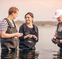 3-Day Port Lincoln and Coffin Bay Private Tour from Adelaide - Accommodation Nelson Bay