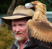 Kangaroo Island Wildlife Day Trip from Adelaide Including Seal Bay - Accommodation Nelson Bay