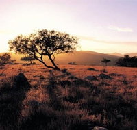 Adelaide To Coober Pedy 7 DAY SMALL GROUP 4WD SAFARI - Accommodation Nelson Bay