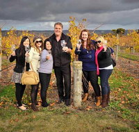 McLaren Vale Winery Small Group Tour with Wine Tasting and Lunch - Accommodation Nelson Bay