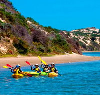 Half-Day Kayaking Tour in Coorong National Park - Accommodation Nelson Bay