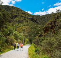 Morialta Wilderness and Wildlife Hike - Day Trip from Adelaide - Accommodation Nelson Bay