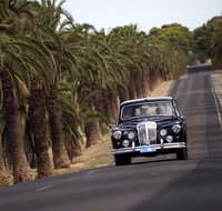 Private Barossa Valley Winery Tour by Classic 1962 Daimler from the Barossa Valley - Accommodation Nelson Bay