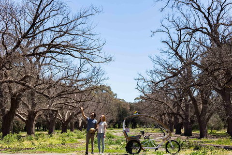 Adelaide 90-Minute Pedicab Tour: Scenic Green & River Experience - Accommodation Nelson Bay 1