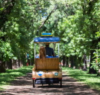 Adelaide 90-Minute Pedicab Tour Scenic Green  River Experience - Accommodation Nelson Bay