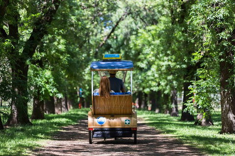 Adelaide 90-Minute Pedicab Tour: Scenic Green & River Experience - Accommodation Nelson Bay 0