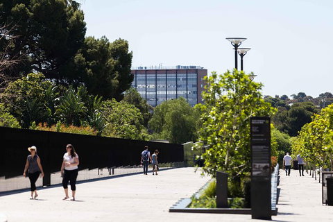 Adelaide 90-Minute Pedicab Tour: Scenic Green & River Experience - Accommodation Nelson Bay 4