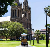 Adelaide 90-Minute Pedicab Tour City Sights Experience - Accommodation Nelson Bay