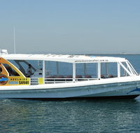 Adelaide Ocean Safari - Wild Dolphin Safari - Accommodation Nelson Bay