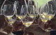 Luxury Private Mclaren Vale Wine Tour - thumb 1