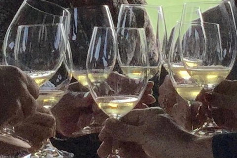 Luxury Private Mclaren Vale Wine Tour - Accommodation Nelson Bay 1