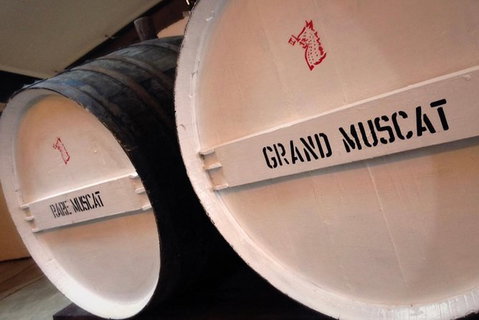 Luxury Private Mclaren Vale Wine Tour - Accommodation Nelson Bay 6