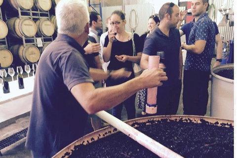 Luxury Private Mclaren Vale Wine Tour - Accommodation Nelson Bay 7