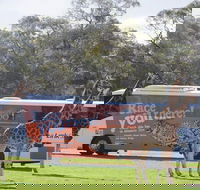 Monarto Safari Park Bus transfers from Adelaide City - Accommodation Nelson Bay