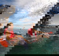 Moreton Island Day Trip Kayak Snorkel  Sandboard frm Brisbane or Gold Coast - Accommodation Nelson Bay