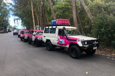 2-Day Fraser Island 4WD Tag-Along Tour At Beach House From Hervey Bay - Accommodation Nelson Bay 6