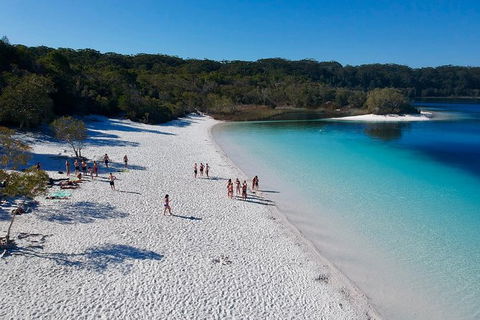 2-Day Fraser Island 4WD Tag-Along Tour At Beach House From Hervey Bay - Accommodation Nelson Bay 3