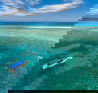 Ocean Safari Great Barrier Reef Experience in Cape Tribulation - Accommodation Nelson Bay