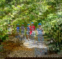 Whitsunday Segway Rainforest Discovery Tour - Accommodation Nelson Bay