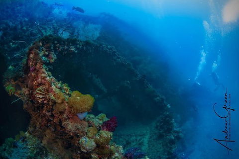 Scuba Dive The S.S. Yongala Wreck On The Great Barrier Reef. - Accommodation Nelson Bay 3