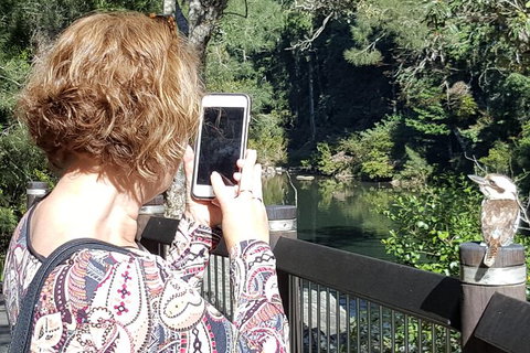 Personalised Private Platypus Land Tour - Accommodation Nelson Bay 1