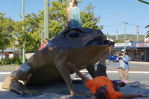 Personalised Private Platypus Land Tour - Accommodation Nelson Bay 5