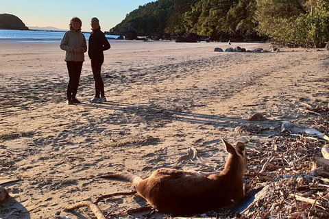 Personalised Private Platypus Land Tour - Accommodation Nelson Bay 10