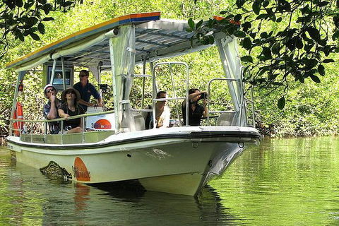 Cairns Reef And Rainforest Combo: Daintree Rainforest And The Great Barrier Reef - Accommodation Nelson Bay 5