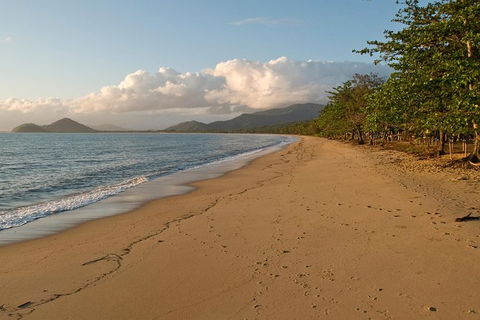Cairns Reef And Rainforest Combo: Daintree Rainforest And The Great Barrier Reef - Accommodation Nelson Bay 10