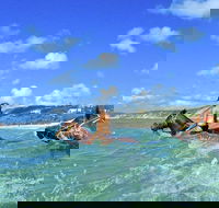 Horse Swimming Ride from Rainbow Beach - Accommodation Nelson Bay