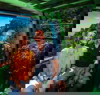 Skyrail Rainforest Cableway Day Trip from Palm Cove - Accommodation Nelson Bay