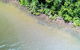 1-Hour Daintree River Wildlife Cruise - thumb 11