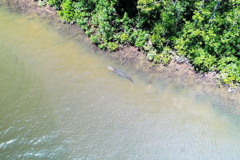 1-Hour Daintree River Wildlife Cruise - Accommodation Nelson Bay 11