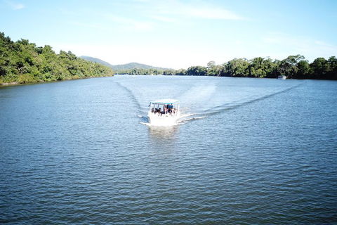 1-Hour Daintree River Wildlife Cruise - Accommodation Nelson Bay 9