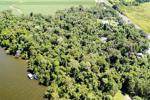 1-Hour Daintree River Wildlife Cruise - Accommodation Nelson Bay 5
