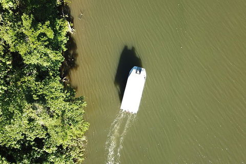 1-Hour Daintree River Wildlife Cruise - Accommodation Nelson Bay 3