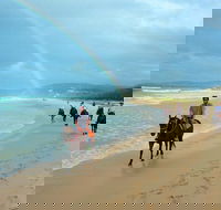 Rainbow Beach Horse Ride - Accommodation Nelson Bay