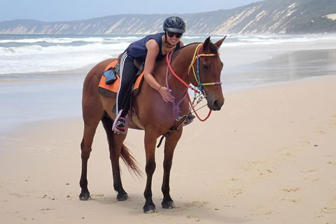 Rainbow Beach Horse Ride - Accommodation Nelson Bay 2