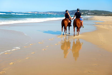 Rainbow Beach Horse Ride - Accommodation Nelson Bay 3